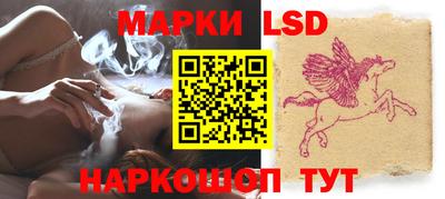 стафф Камышлов