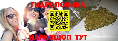 стафф Камышлов