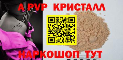 стафф Камышлов