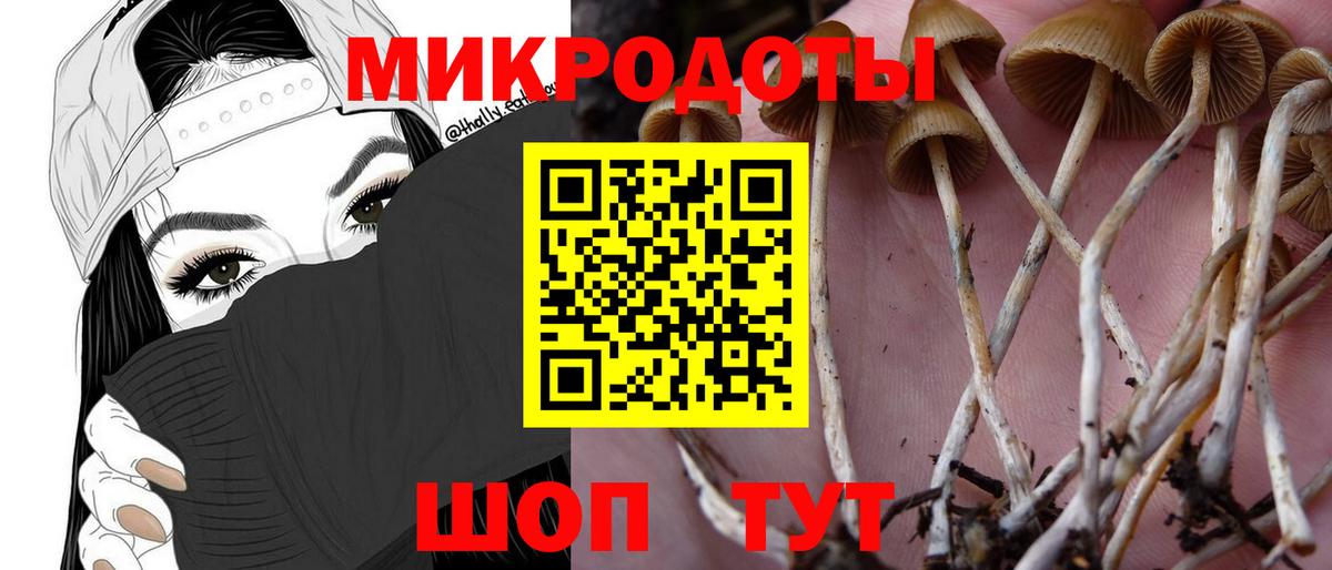 Гусев  Галлюциногенные грибы GOLDEN TEACHER  Вход с VPN 
