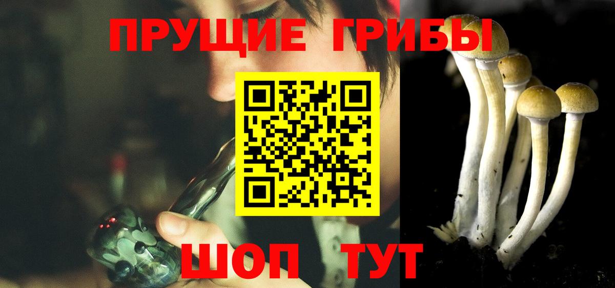 Псилоцибиновые грибы ЛСД Гусев