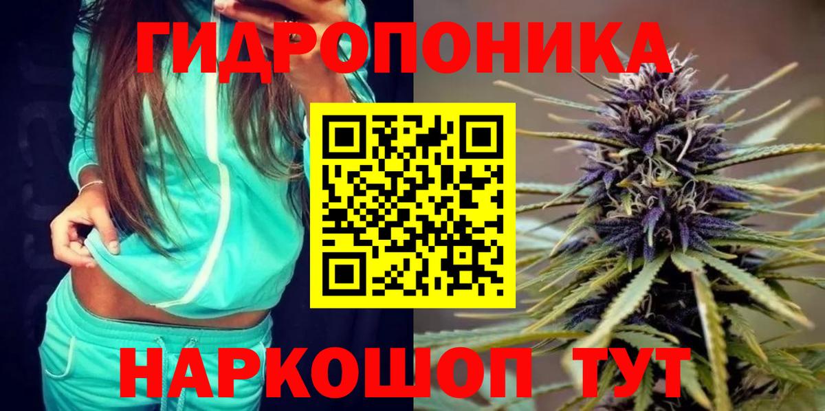 Бошки Шишки гибрид  Бошки Шишки гибрид  Гусев  Вход с VPN 